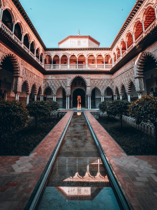 pexels-pixels-elements-16627215